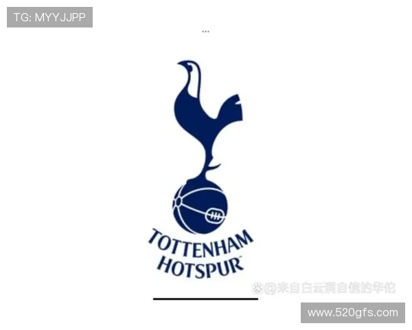 法甲球队财务分析报告:俱乐部盈利模式与负债风险结构 法甲球队财务分析报告:俱乐部盈利模式与负债风险结构