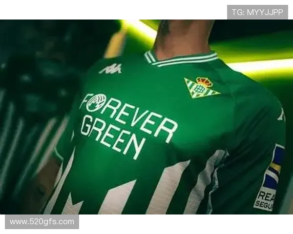 沃特福德主场迎战谢菲尔联英冠关键对决前瞻与走势解析看点全面读